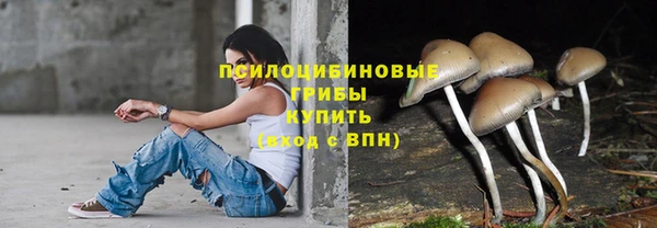 соль ск Данков