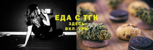 индика Дедовск