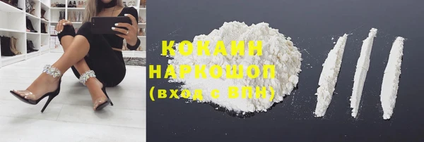 mdpv Протвино
