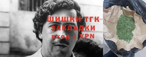 mdpv Протвино