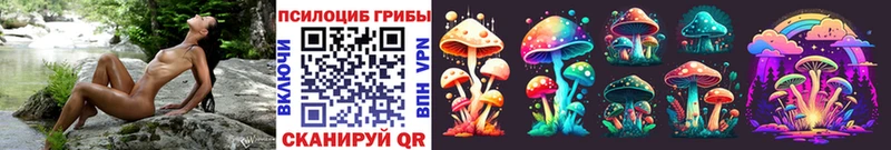 Галлюциногенные грибы GOLDEN TEACHER  Спас-Клепики 
